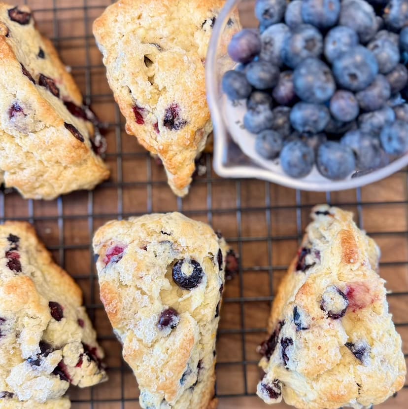 Blueberry Lemon Scone - Seasonal