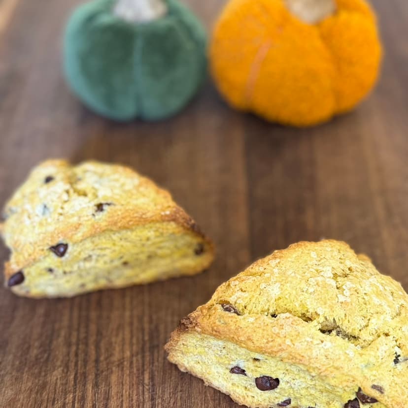 Pumpkin Chocolate Chip Scone - Seasonal